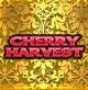 CHERRY HARVEST