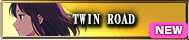 TWIN ROAD