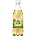 カナダドライ ジンジャーエール　500ml×24本