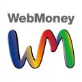 Web Money 5,000円分